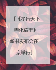 《孝行天下 善化清丰》新书发布会在京举行