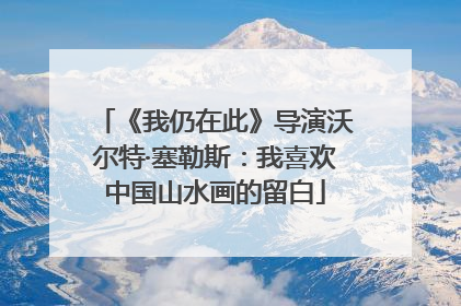 《我仍在此》导演沃尔特·塞勒斯：我喜欢中国山水画的留白