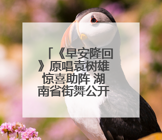《早安隆回》原唱袁树雄惊喜助阵 湖南省街舞公开赛·邵阳站燃情开赛