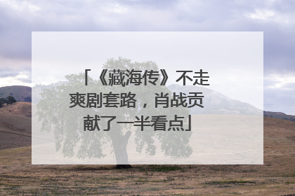 《藏海传》不走爽剧套路，肖战贡献了一半看点