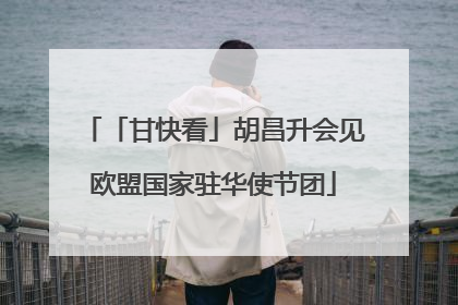 「甘快看」胡昌升会见欧盟国家驻华使节团