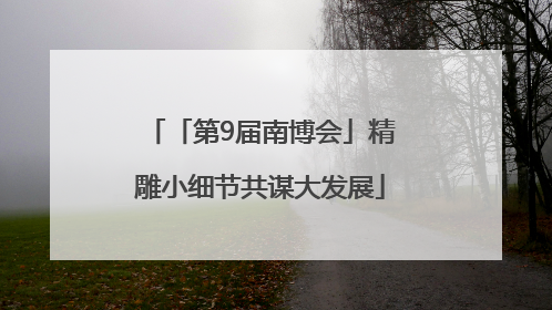 「第9届南博会」精雕小细节共谋大发展