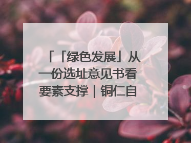 「绿色发展」从一份选址意见书看要素支撑｜铜仁自然资源部门精准服务助力项目落地
