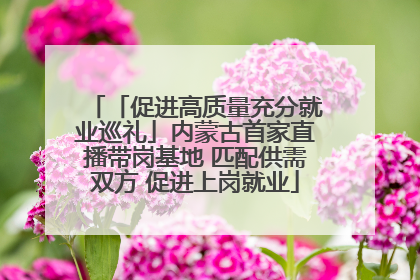 「促进高质量充分就业巡礼」内蒙古首家直播带岗基地 匹配供需双方 促进上岗就业