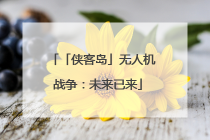 「侠客岛」无人机战争：未来已来