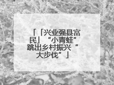 「兴业强县富民」“小青蛙”跳出乡村振兴“大步伐”