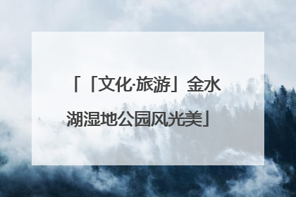 「文化·旅游」金水湖湿地公园风光美