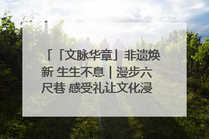 「文脉华章」非遗焕新 生生不息｜漫步六尺巷 感受礼让文化浸润的“巷”往生活