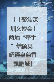 「聚焦深圳文博会」两地“牵手”结硕果 昭通皇菊香飘鹏城