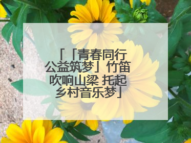 「青春同行 公益筑梦」竹笛吹响山梁 托起乡村音乐梦