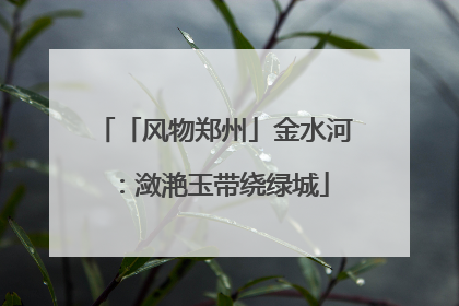 「风物郑州」金水河：潋滟玉带绕绿城