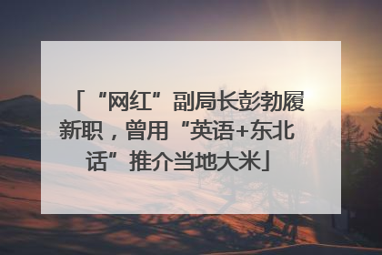 “网红”副局长彭勃履新职，曾用“英语+东北话”推介当地大米