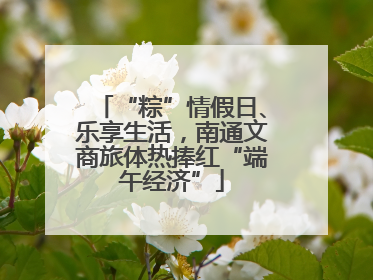 “粽”情假日、乐享生活，南通文商旅体热捧红“端午经济”