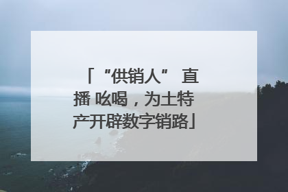 “供销人” 直播 吆喝，为土特产开辟数字销路