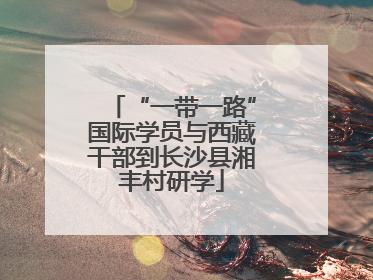 “一带一路”国际学员与西藏干部到长沙县湘丰村研学