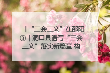 “三会三文”在邵阳③｜洞口县谱写“三会三文”落实新篇章 构建协同联动大格局