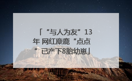 “与人为友”13年 网红麋鹿“点点”已产下8胎幼崽