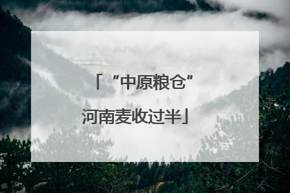 “中原粮仓”河南麦收过半