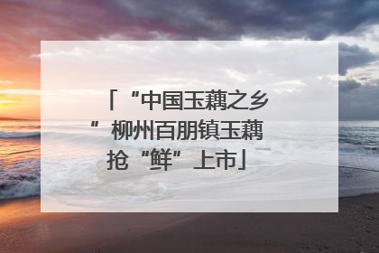 “中国玉藕之乡”柳州百朋镇玉藕抢“鲜”上市