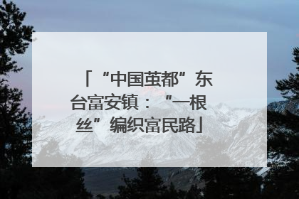 “中国茧都”东台富安镇：“一根丝”编织富民路