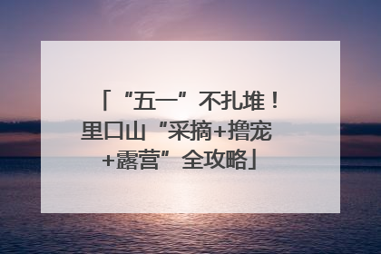 “五一”不扎堆！里口山“采摘+撸宠+露营”全攻略
