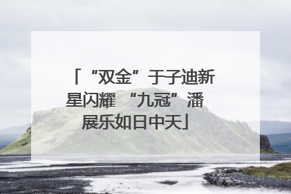 “双金”于子迪新星闪耀 “九冠”潘展乐如日中天