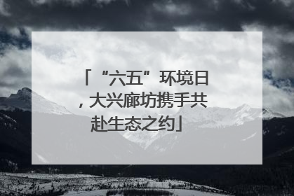 “六五”环境日，大兴廊坊携手共赴生态之约