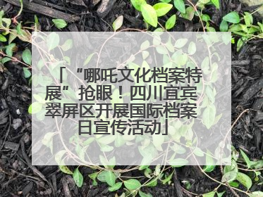 “哪吒文化档案特展”抢眼！四川宜宾翠屏区开展国际档案日宣传活动