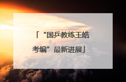 “国乒教练王皓考编”最新进展