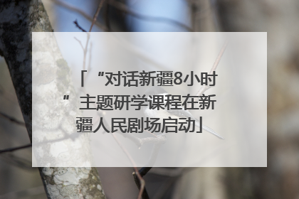 “对话新疆8小时”主题研学课程在新疆人民剧场启动