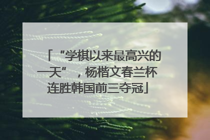 “学棋以来最高兴的一天”，杨楷文春兰杯连胜韩国前三夺冠