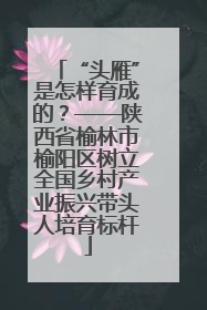 “头雁”是怎样育成的？——陕西省榆林市榆阳区树立全国乡村产业振兴带头人培育标杆