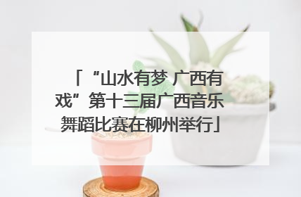 “山水有梦 广西有戏”第十三届广西音乐舞蹈比赛在柳州举行