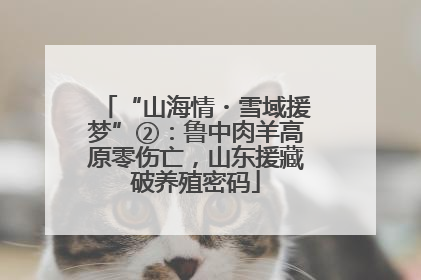 “山海情・雪域援梦”②：鲁中肉羊高原零伤亡，山东援藏破养殖密码