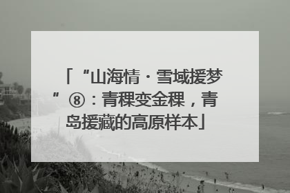 “山海情・雪域援梦”⑧：青稞变金稞，青岛援藏的高原样本