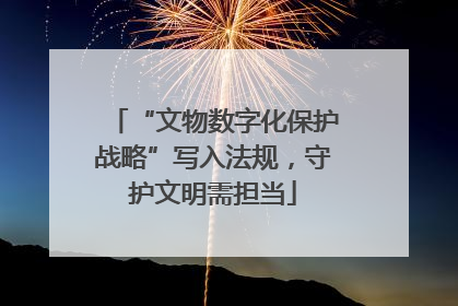“文物数字化保护战略”写入法规，守护文明需担当