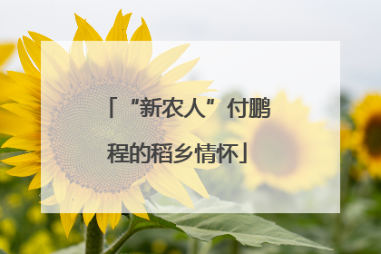 “新农人”付鹏程的稻乡情怀