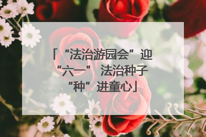 “法治游园会”迎“六一” 法治种子“种”进童心