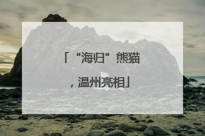“海归”熊猫，温州亮相