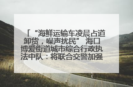 “海鲜运输车凌晨占道卸货，噪声扰民” 海口博爱街道城市综合行政执法中队：将联合交警加强长堤路一带巡逻