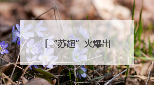 “苏超”火爆出圈，“十四妹”入群！湖北黄石14家A级景区对江苏游客免票
