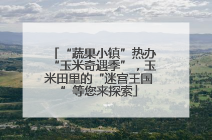 “蔬果小镇”热办“玉米奇遇季”，玉米田里的“迷宫王国”等您来探索
