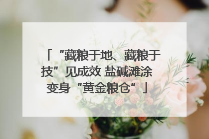 “藏粮于地、藏粮于技”见成效 盐碱滩涂变身“黄金粮仓”