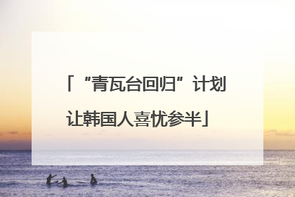 “青瓦台回归”计划让韩国人喜忧参半