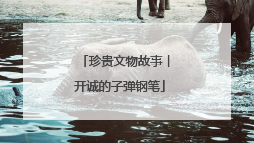 珍贵文物故事丨开诚的子弹钢笔