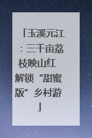 玉溪元江：三千亩荔枝映山红 解锁“甜蜜版”乡村游