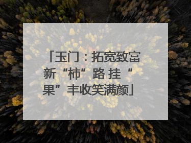 玉门：拓宽致富新“柿”路 挂“果”丰收笑满颜