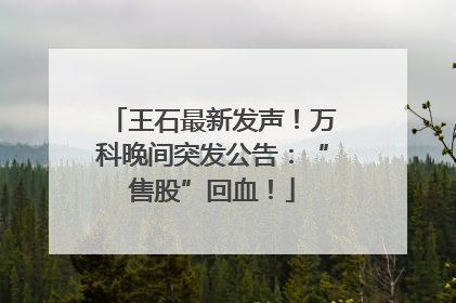 王石最新发声！万科晚间突发公告：“售股”回血！