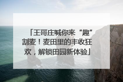 王哥庄喊你来“趣”割麦！麦田里的丰收狂欢，解锁田园新体验