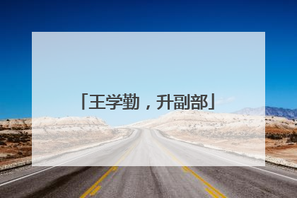 王学勤，升副部